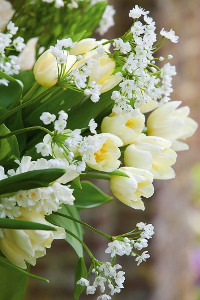 bulb afbeelding