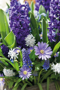 bulb afbeelding