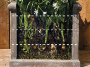 bulb afbeelding