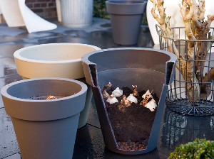 bulb afbeelding