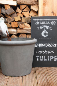 bulb afbeelding