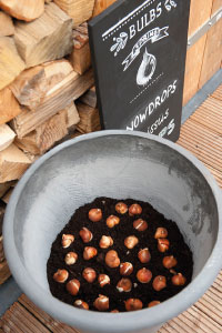 bulb afbeelding