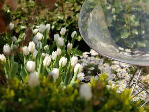 bulb afbeelding