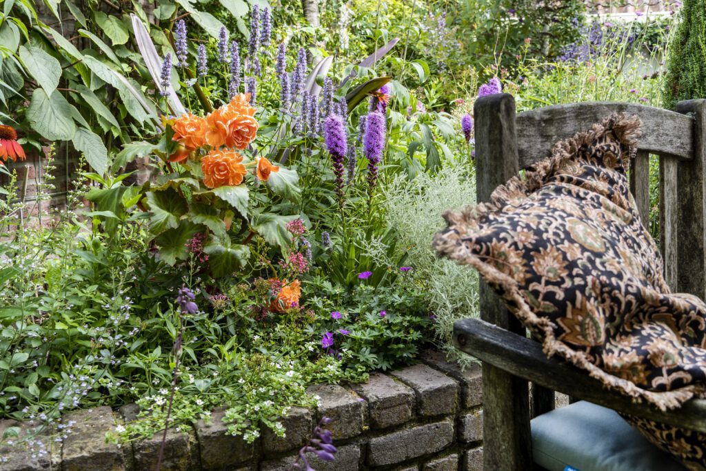 Summer bulbs